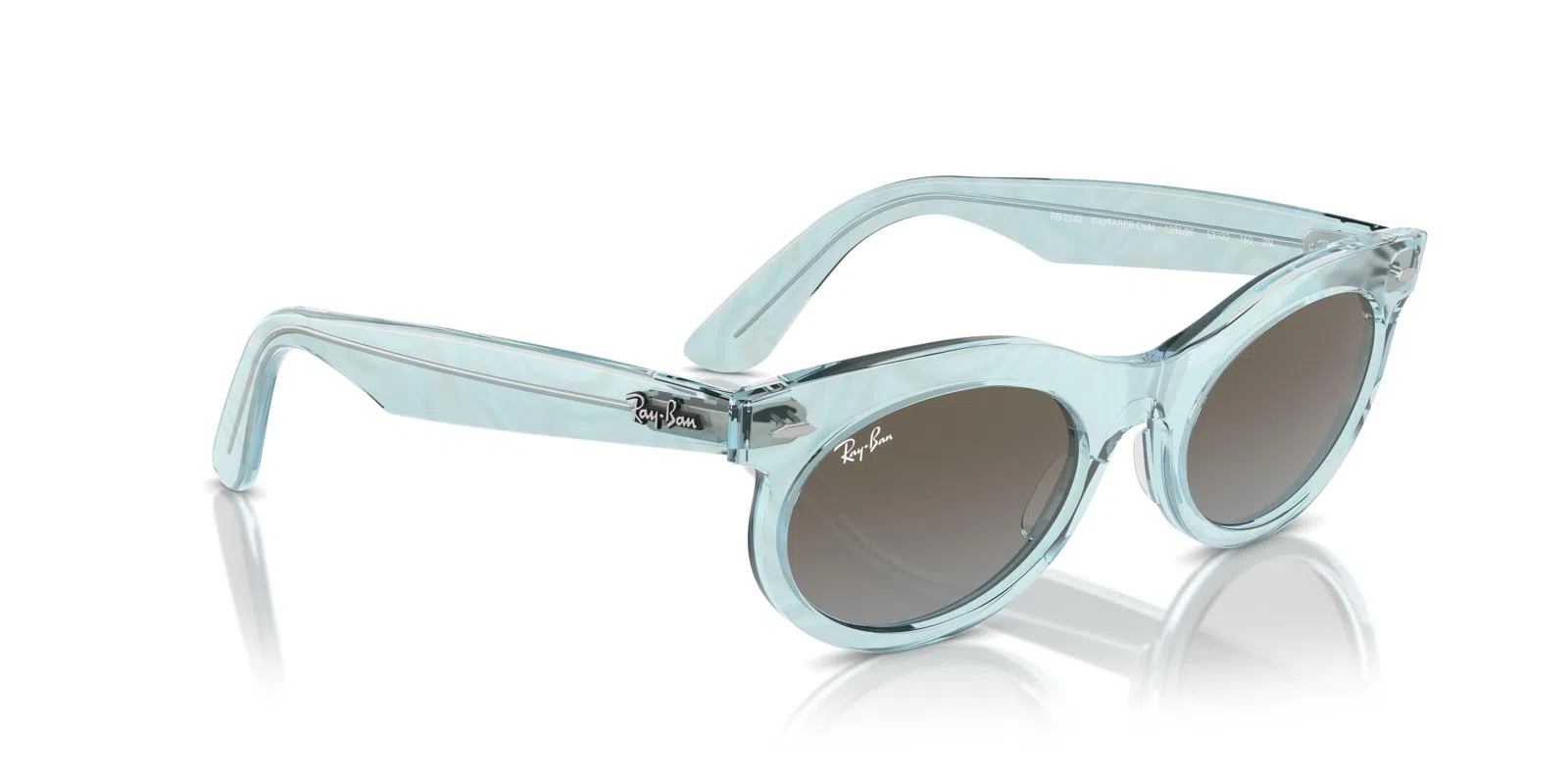 Ray-Ban Wayfarer Oval 2242 Sunglasses - view 91